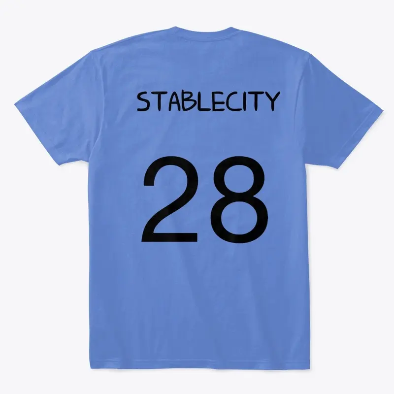 StableCity 