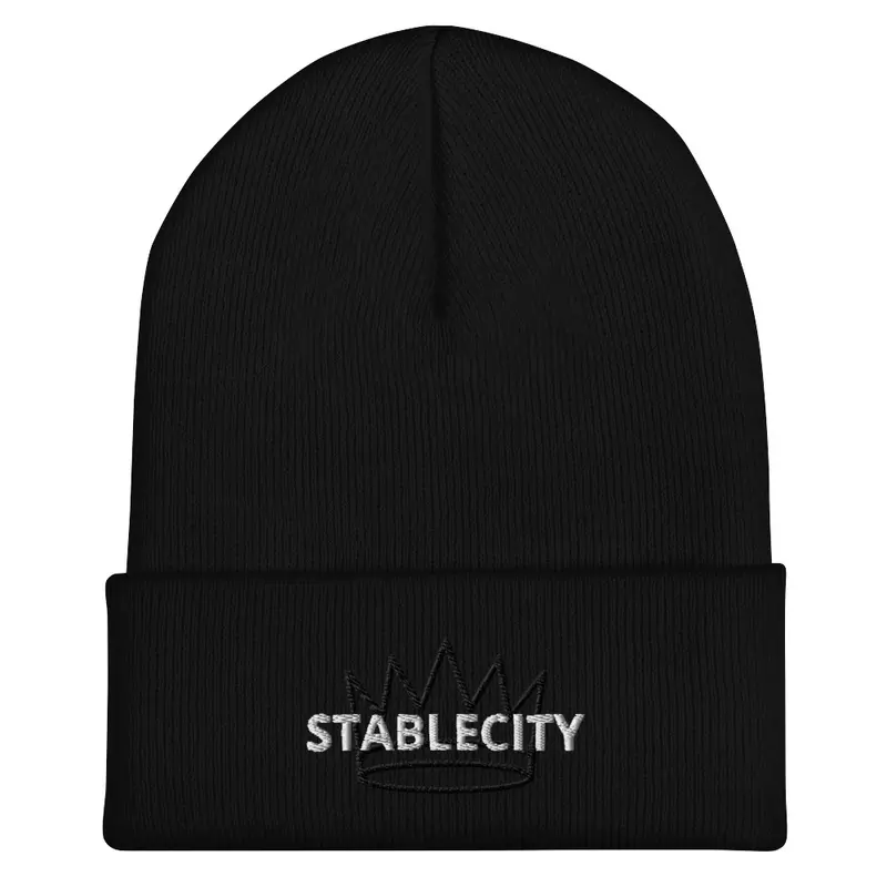 STABLECITY 