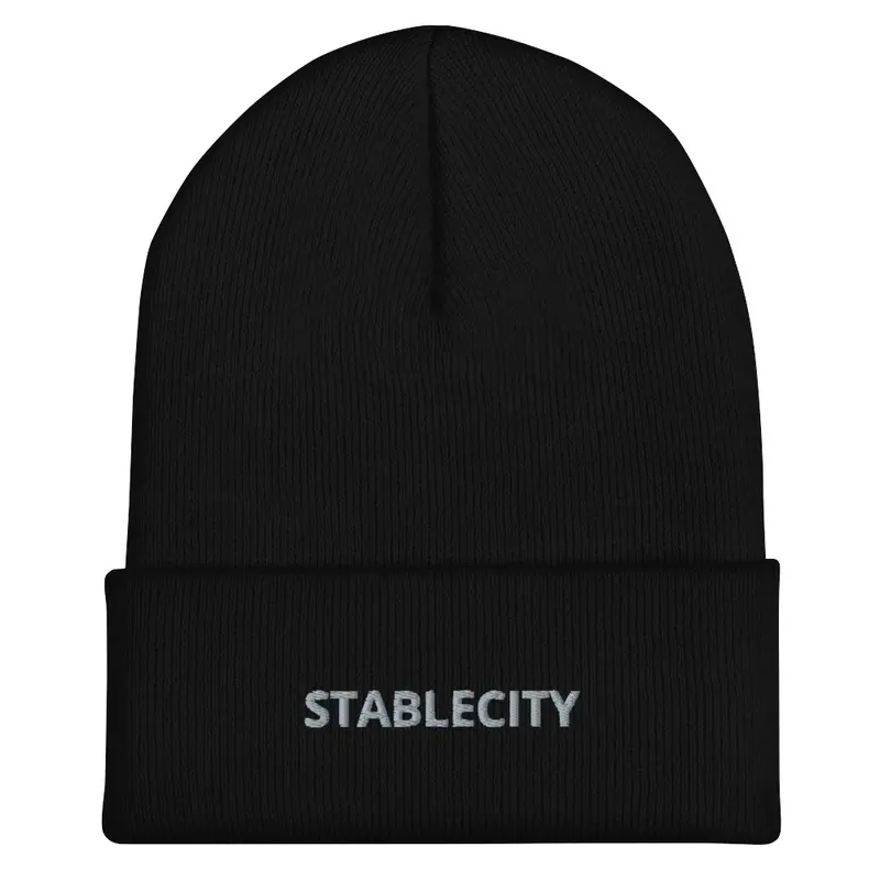 STABLECITY